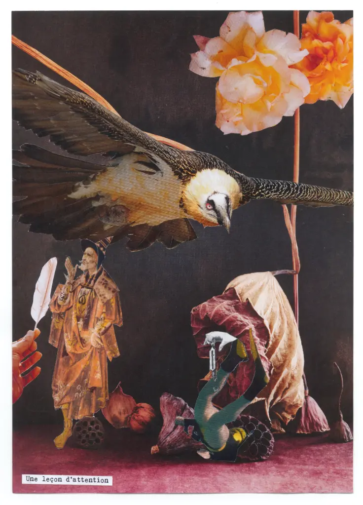 Collage manuel - La leçon d'attention